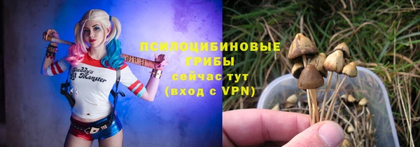 стаф Новозыбков