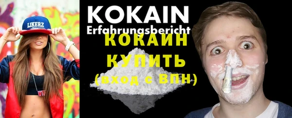 стаф Новозыбков