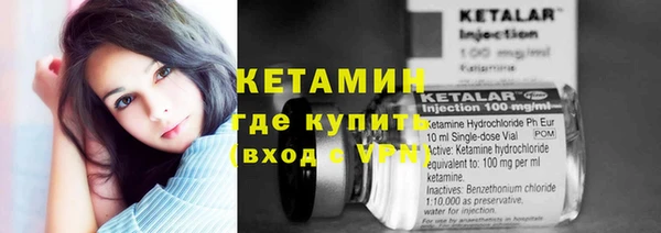 трава Абаза