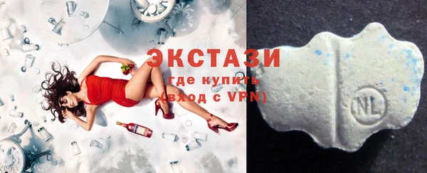 стаф Новозыбков